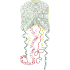 A jelly fish embroidery design